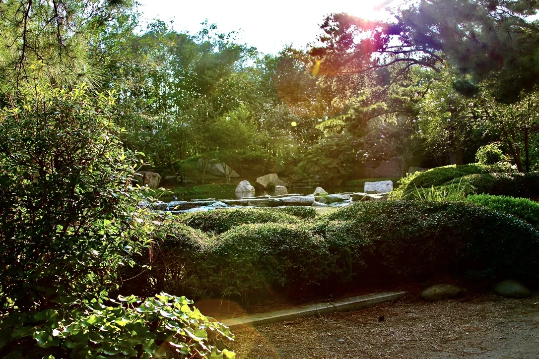 Quiet Japanese-style garden with a stone lantern and sunlight through trees